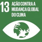 ods13